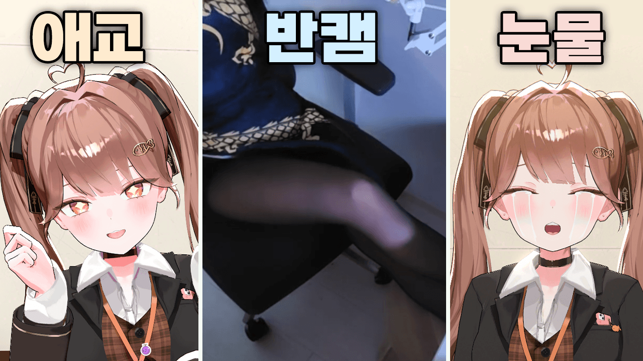 여자버튜버가 유리한 이유 관련 이미지